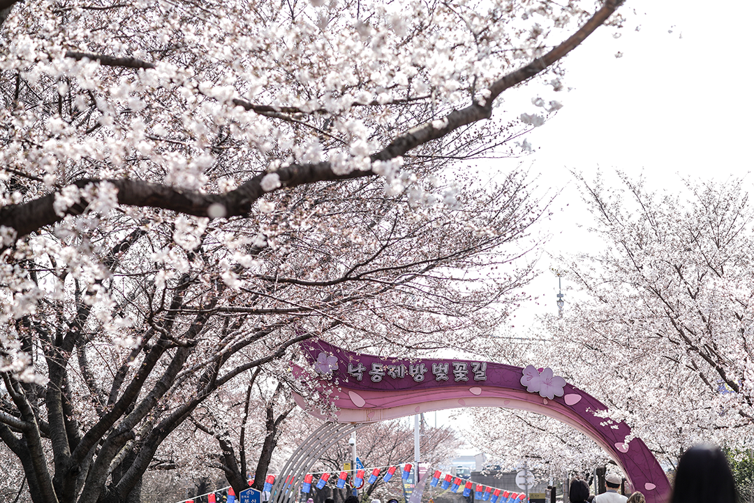 삼락생태공원